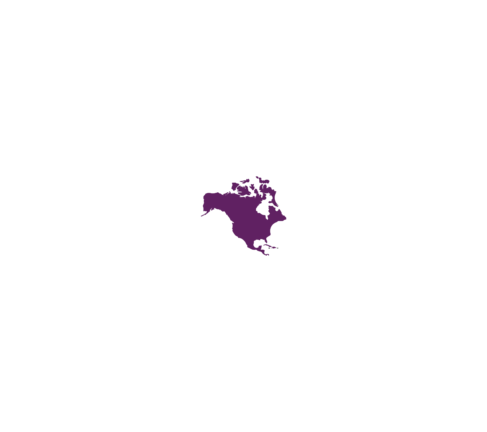 Black Pearl Vision